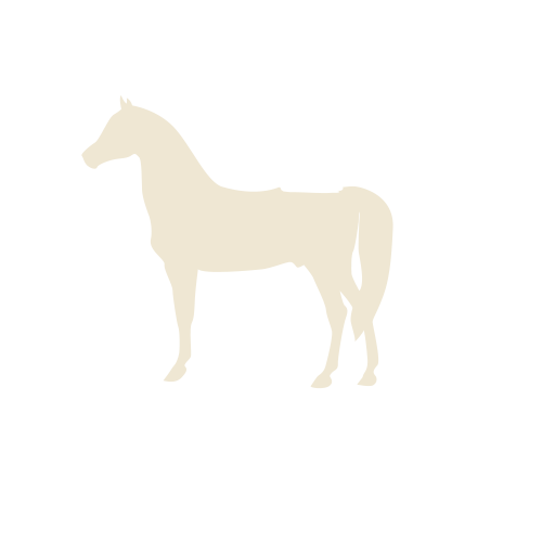 Dierenartsenpraktijk Wijchen - Logo-footer